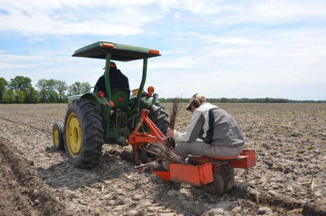 Conservation Blueprint, pollinator habitat and seeds