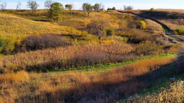 Conservation Blueprint Project Design Assistance