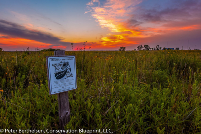 Conservation Blueprint Project Design Assistance