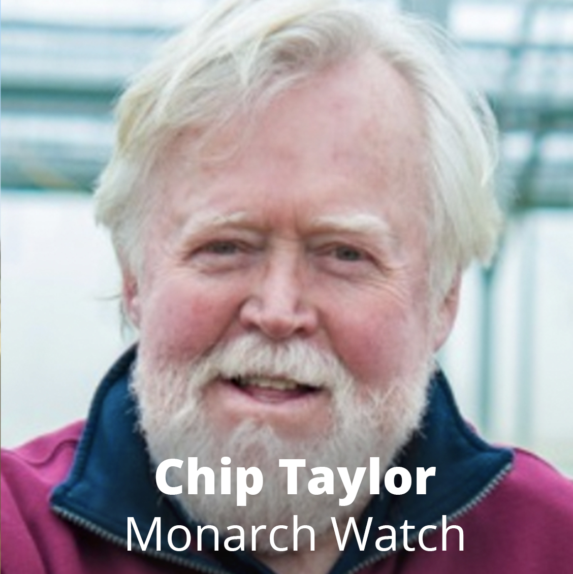 Chip Taylor