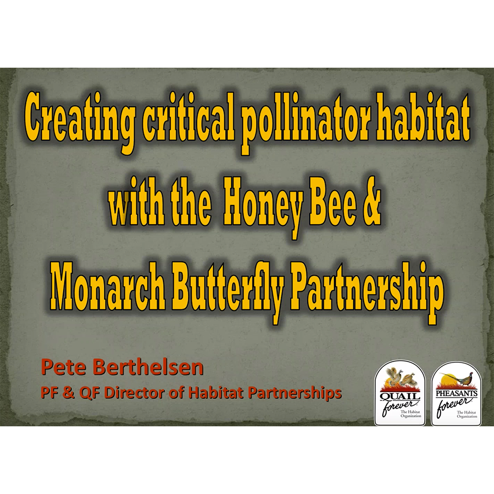 Creating Critical Pollinator Habitat with the Honey Bee & Monarch Butterfly Partnership