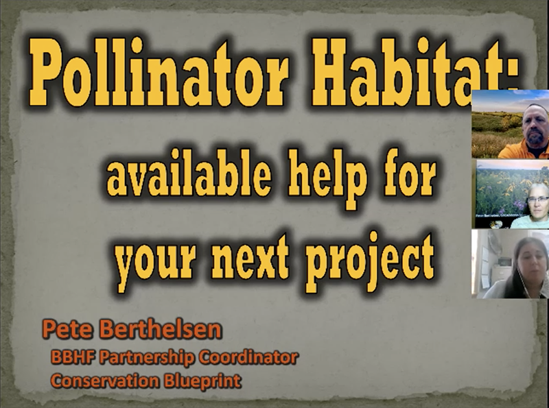 Pollinator Habitat: available help for your next project