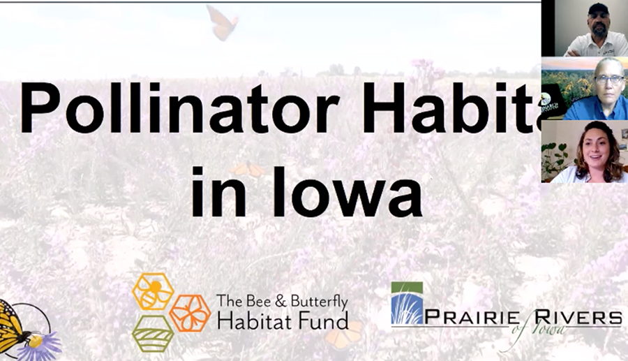 Pollinator Habitat in Iowa